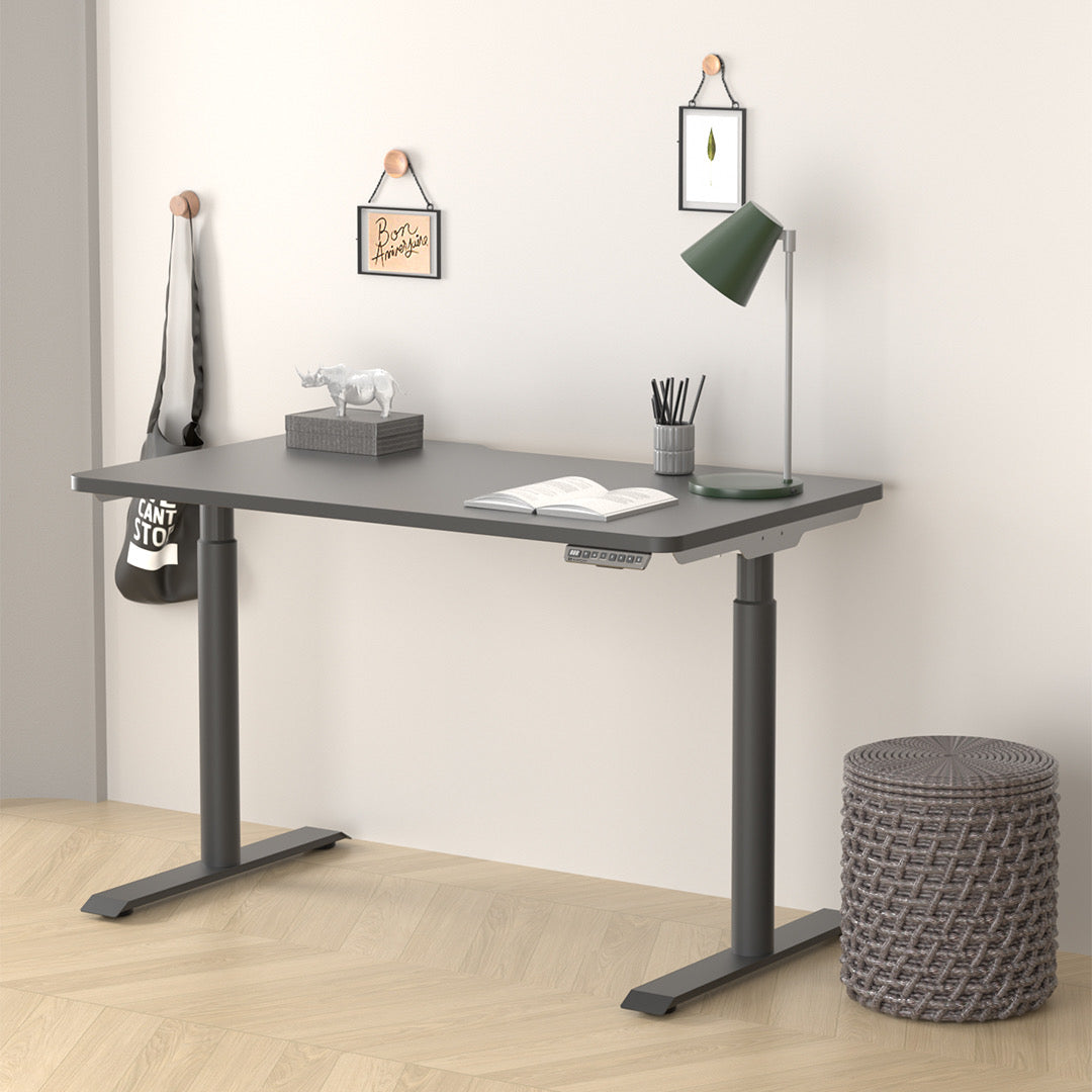 (Redemption) Hinomi S1 Home Office Standing Desk with Cable Tray