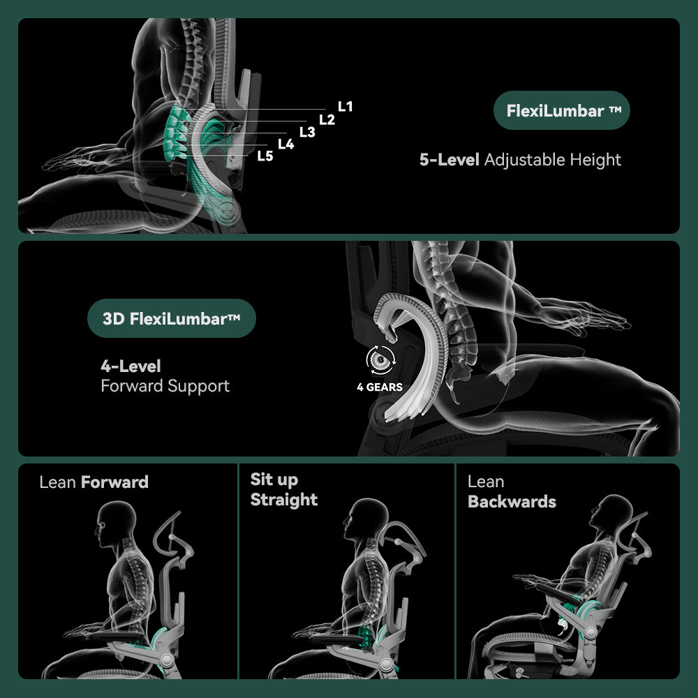 (Redemption) Hinomi H1 Pro V2 Ergonomic Chair
