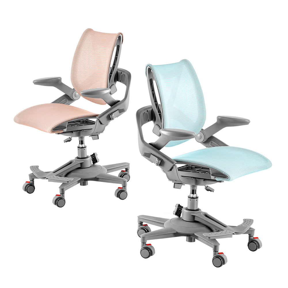 Zee Lite Ergonomic Chair – HINOMI SG