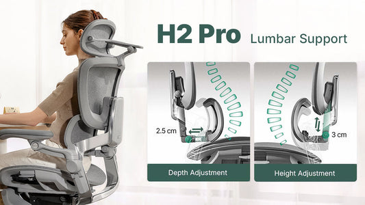 Hinomi H2 Pro lumbar support diagram showing 2.5 cm depth adjustment and 3 cm height adjustment