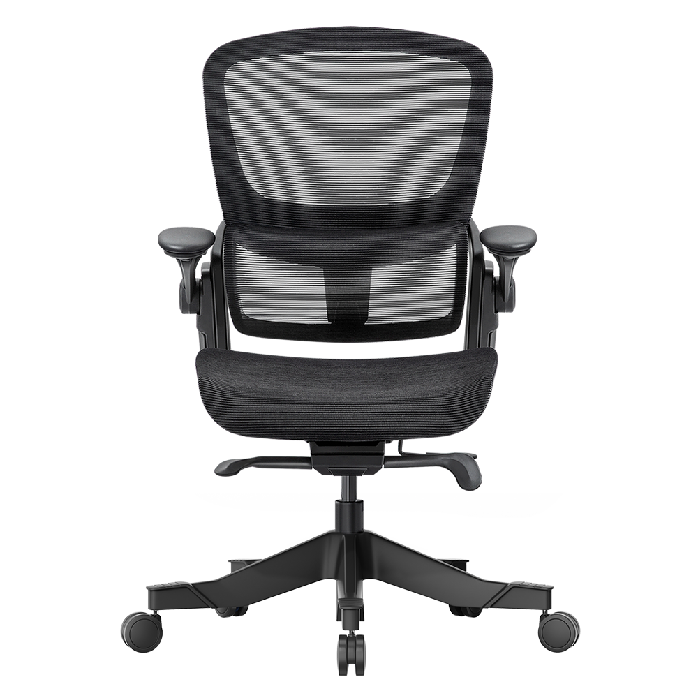 H1 Classic V3 Ergonomic Office Chair(Redemption)