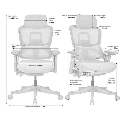 Hinomi H2 Classic with headrest