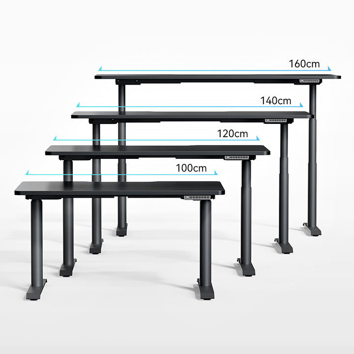 Hinomi S1 Home Office Standing Desk