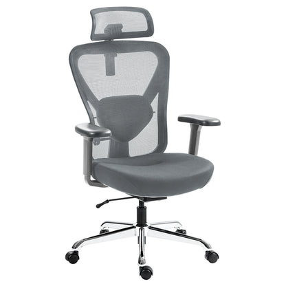 Hinomi Q1 Ergonomic Office Chair (Redemption)