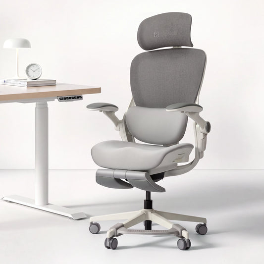 Hinomi Q2 Pro Ergonomic Office Chair with Free Footrest