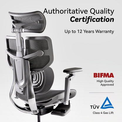 (Clearance Sale) Hinomi X1 Ergonomic Office Chair