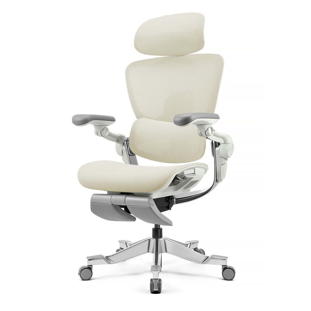 Hinomi H2 Pro Ergonomic Office Chair