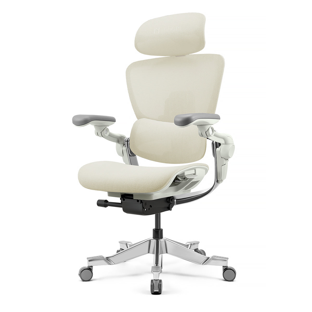 Hinomi H2 Pro Ergonomic Office Chair