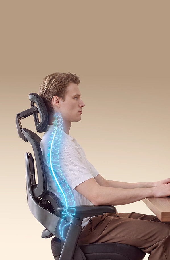 Spine support
