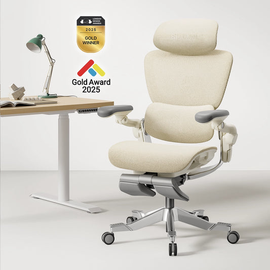 Hinomi H2 Pro Ergonomic Office Chair with Optional Leg Rest