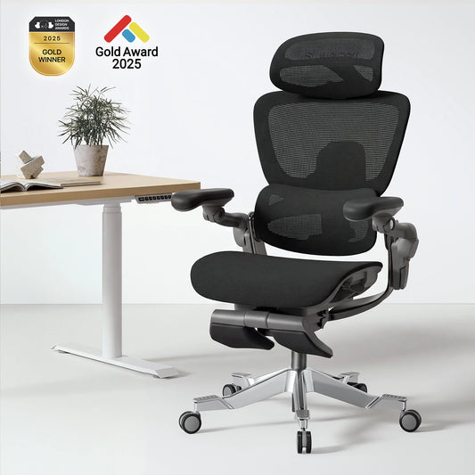 Hinomi H2 Pro Ergonomic Office Chair with Optional Leg Rest