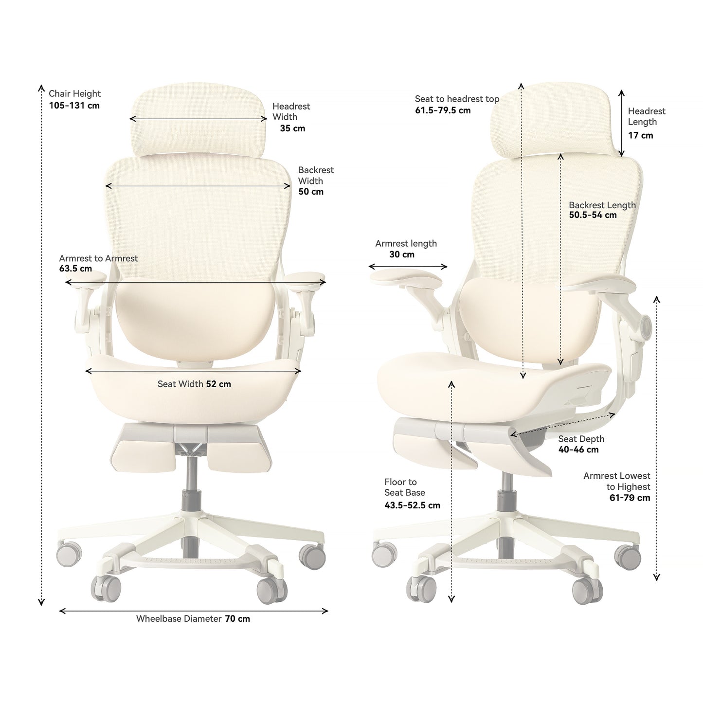 Hinomi Q2 Pro Ergonomic Office Chair with Free Footrest