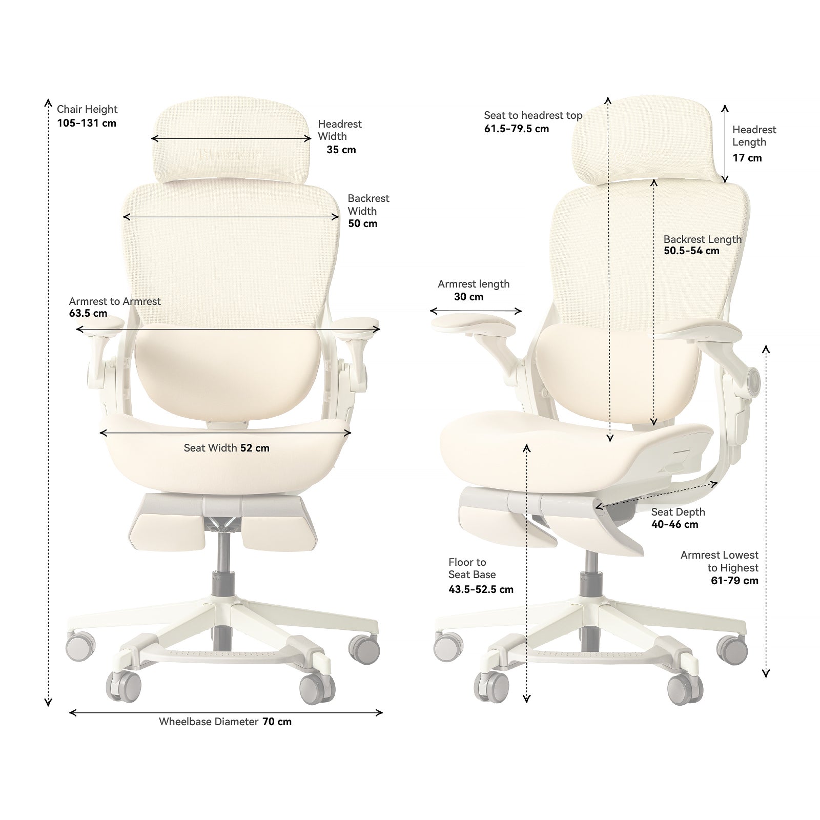 Hinomi Q2 Pro Ergonomic Office Chair with Free Footrest