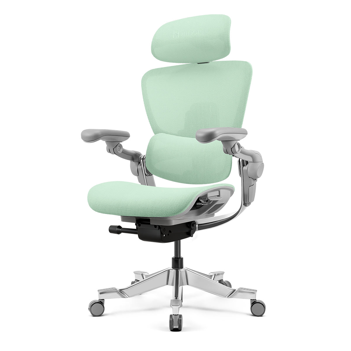 Hinomi H2 Pro Ergonomic Office Chair