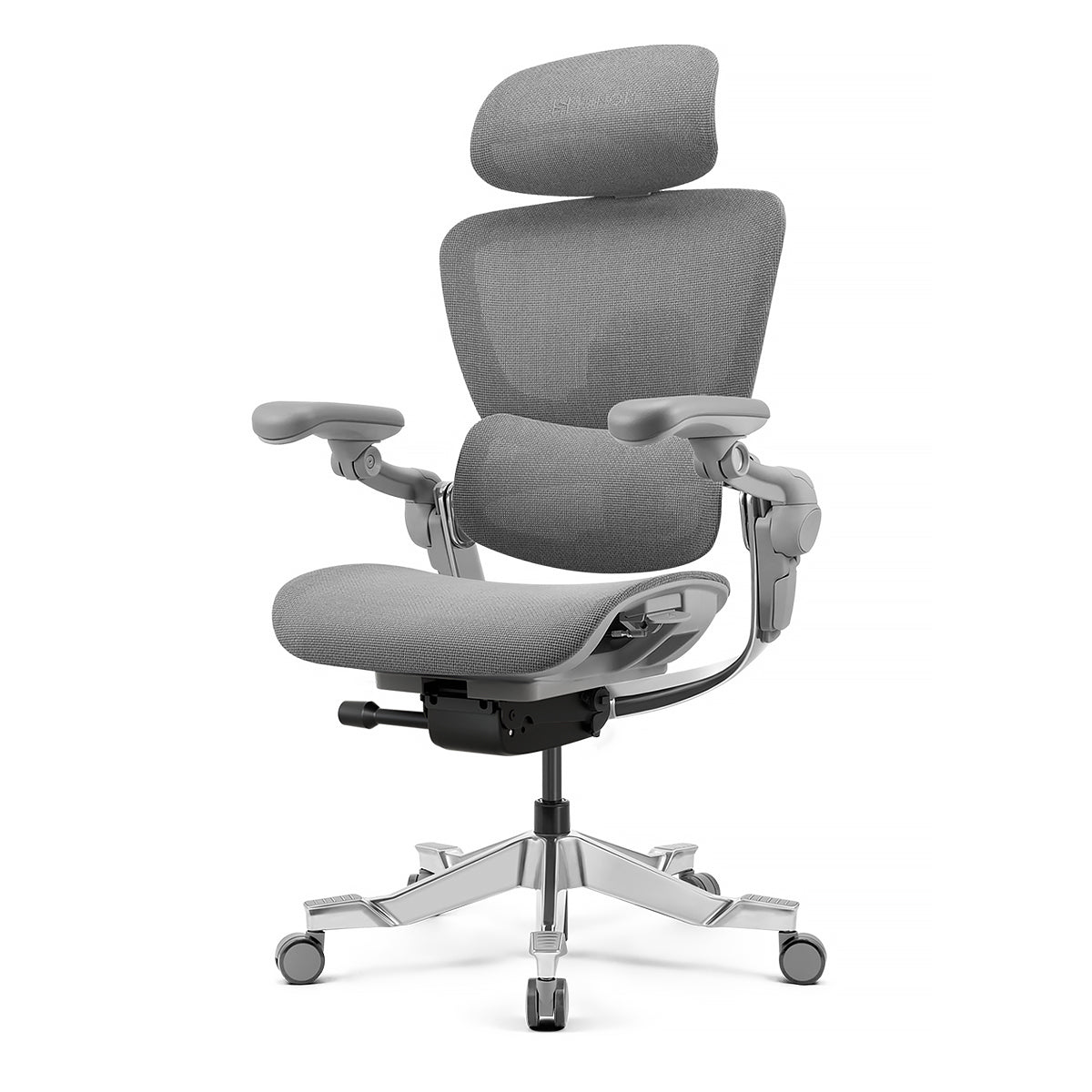 Hinomi H2 Pro Ergonomic Office Chair