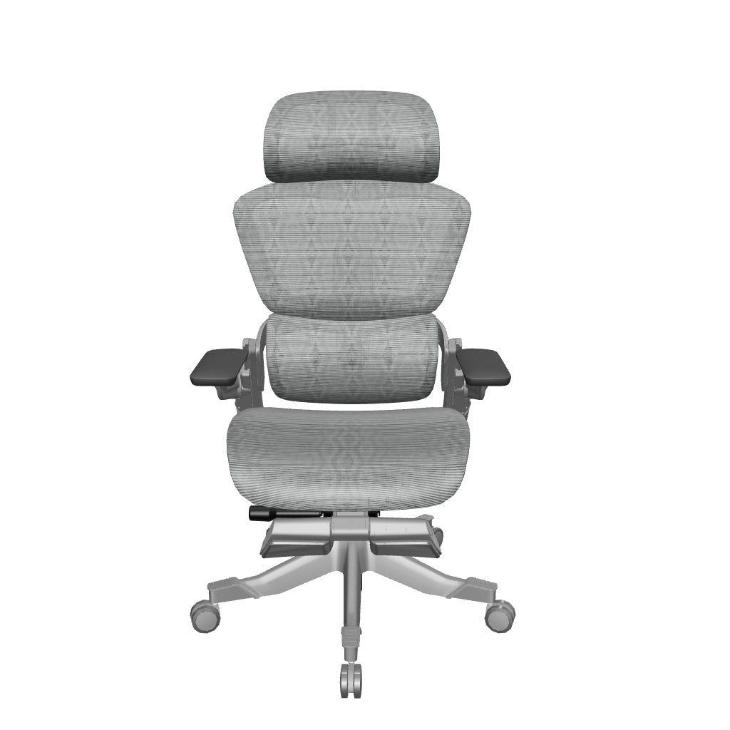 Hinomi H1 Pro V2 Ergonomic Office Chair