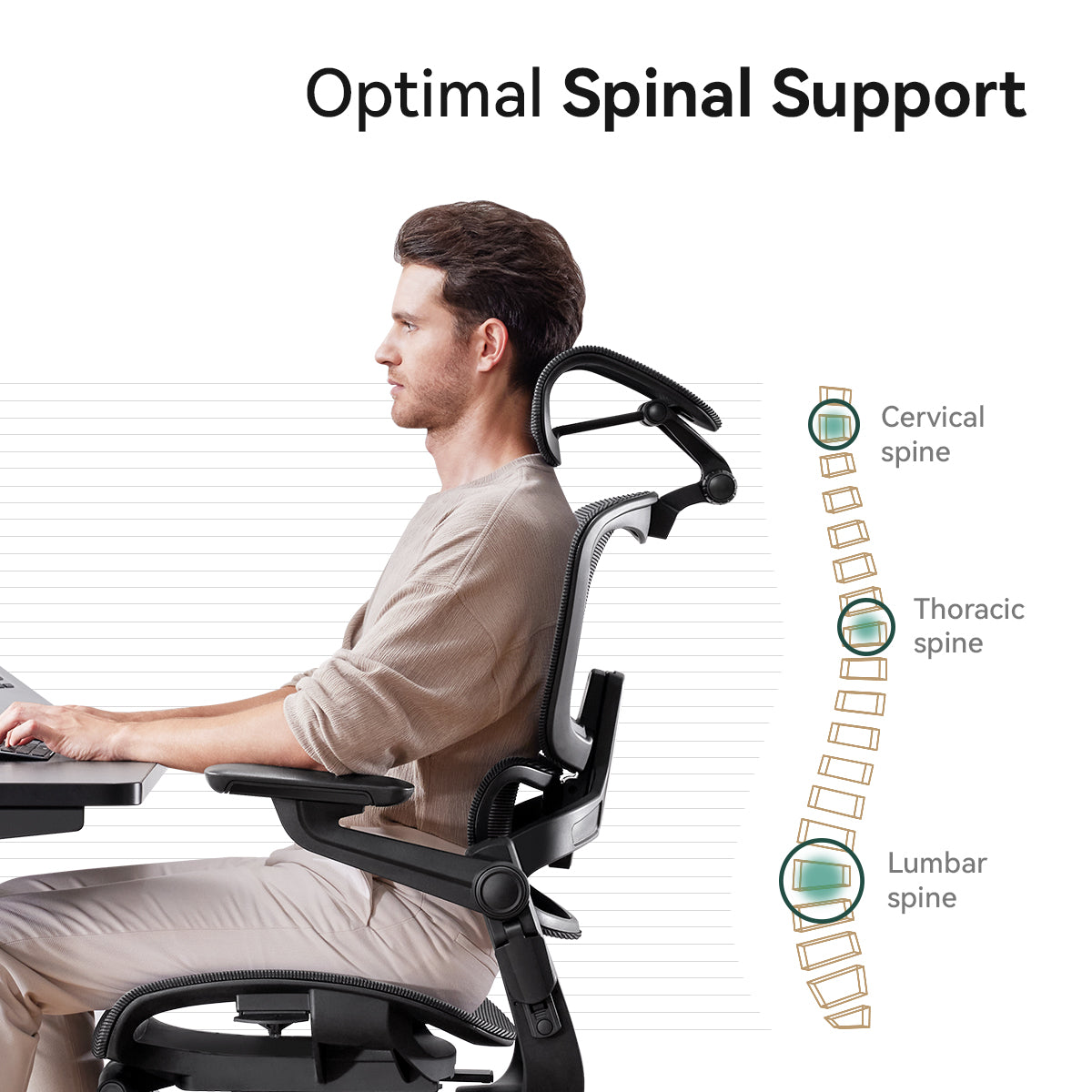 Spine Office Chair Good For Back Support Lumbar Spine Chairs With
