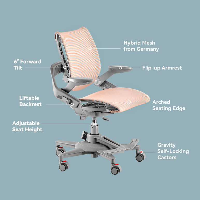 Zee Lite Ergonomic Chair