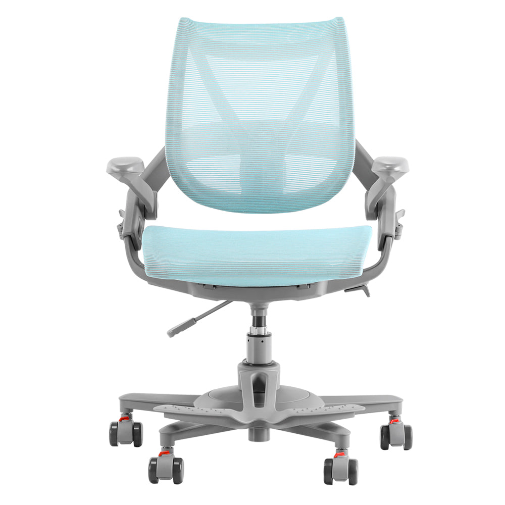HINOMI Zee V2 Ergonomic Chair